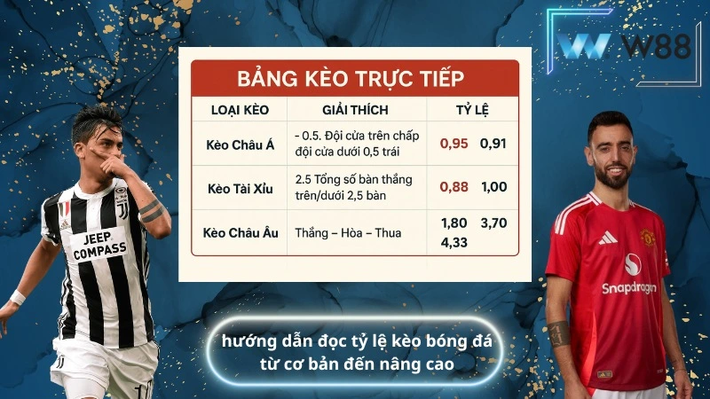 hướng dẫn đọc tỷ lệ kèo bóng đá từ cơ bản đến nâng cao