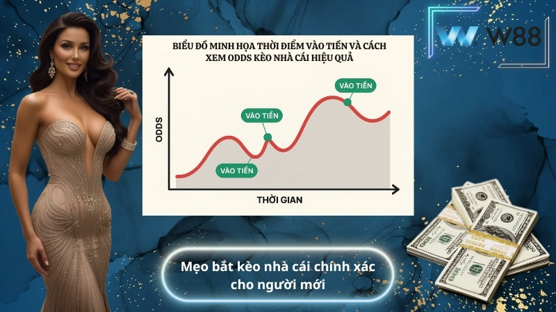 Mẹo bắt kèo nhà cái chính xác cho người mới