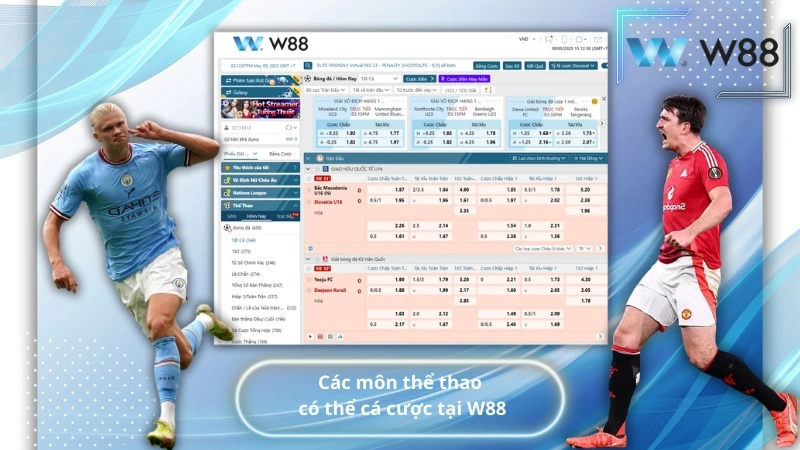 Các môn thể thao có thể cá cược tại W88