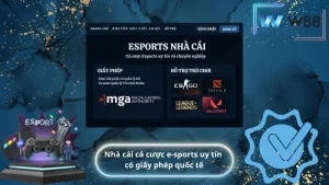 Nhà cái cá cược e-sports uy tín có giấy phép quốc tế